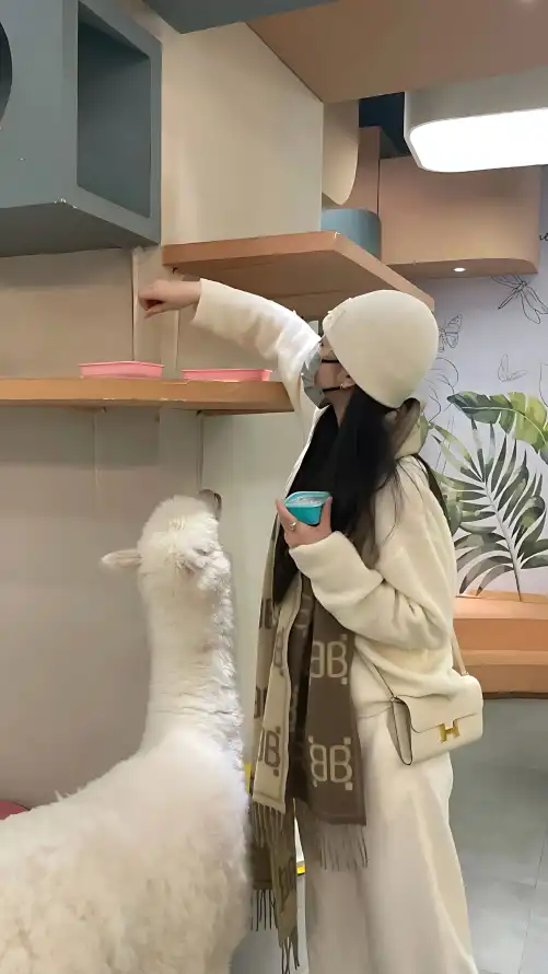 午夜一级毛片_久久精品视频国产剧情_国产福利电影一区二区三区在线观看无码不卡av中文